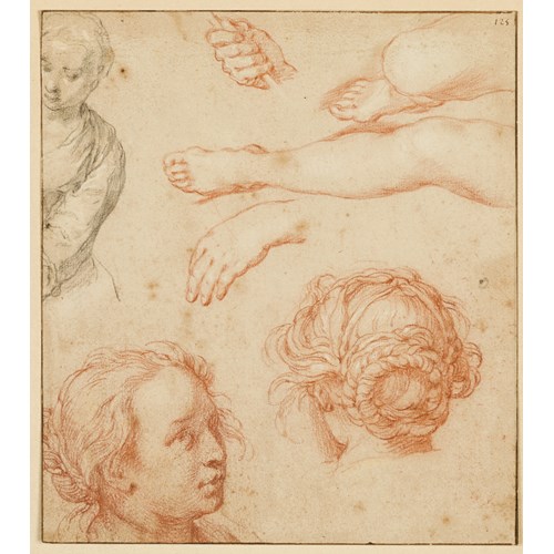 Studies of the Head of a Young Woman, Legs and Hands and the Bust of a Woman